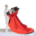 Pet Supplies Halloween Atmosphere Cloak - Image 6