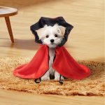 Pet Supplies Halloween Atmosphere Cloak - Image 3