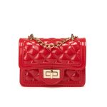 Summer New Style Mini Pearl Diamond Chain Bag - Image 3